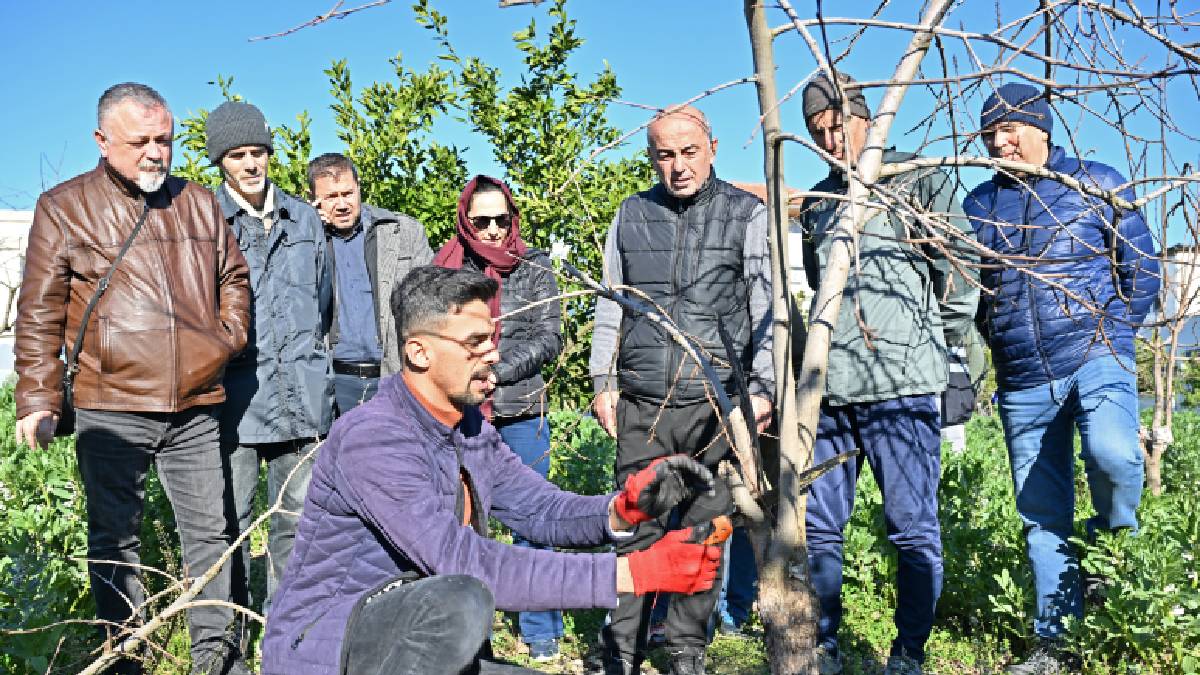 ATASEM’de uygulamalı ağaç budama eğitimi