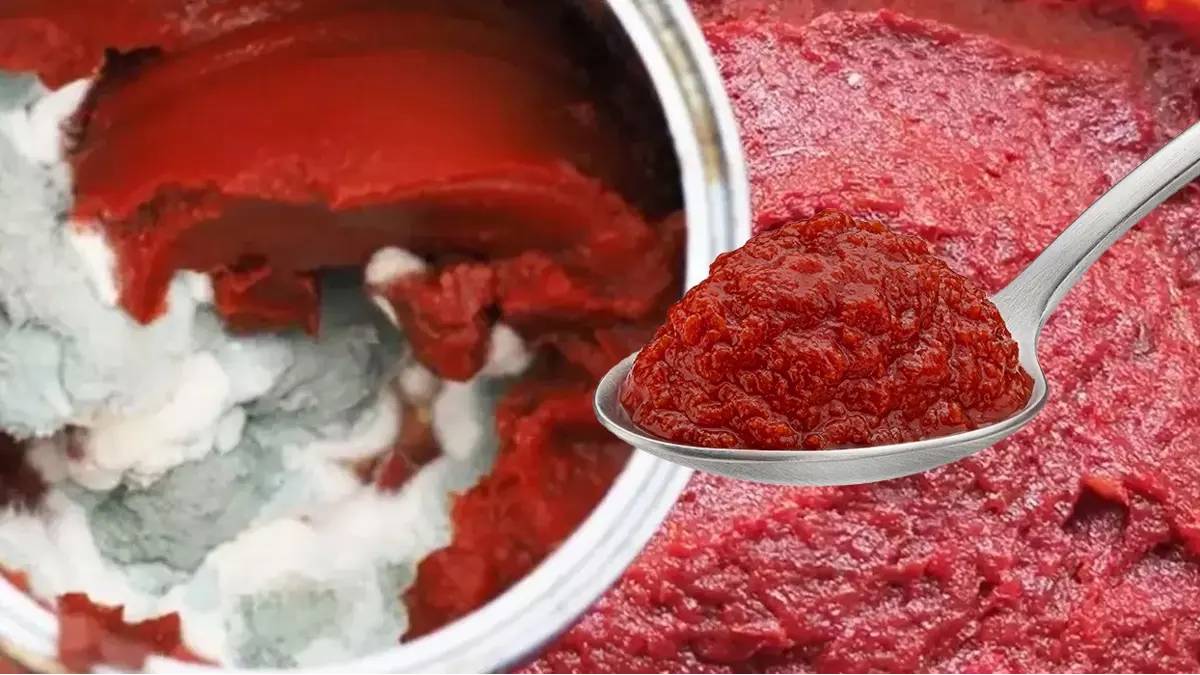 Salçalarınız uzun süre küflenmeden duracak! Bu yöntemle sürekli taze kalacak