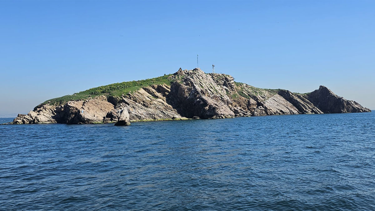 Marmara’nın sualtı bahçeleri koruma altında: 11 yıllık emeğin kalbi Tavşan Adası!