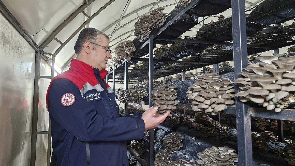 Son teknolojiyle yılda 84 ton üretim yapıyor: Bölgenin önemli gelir kaynağı