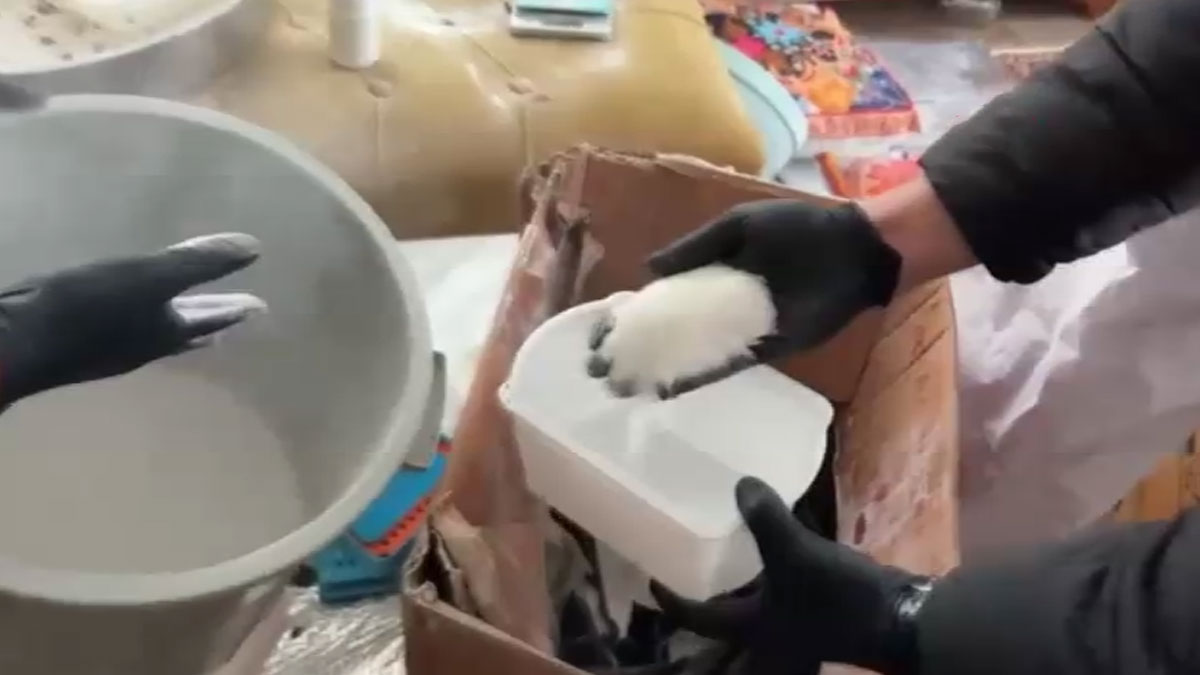 İstanbul'daki uyuşturucu operasyonlarında 5 şüpheli yakalandı