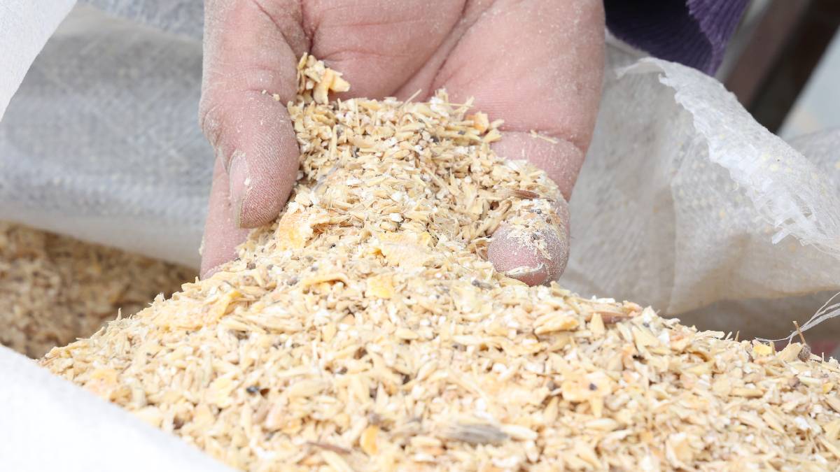 Korkuteli Yazır Mahallesi’nde hayvancılar kendi yemini kendi üretiyor