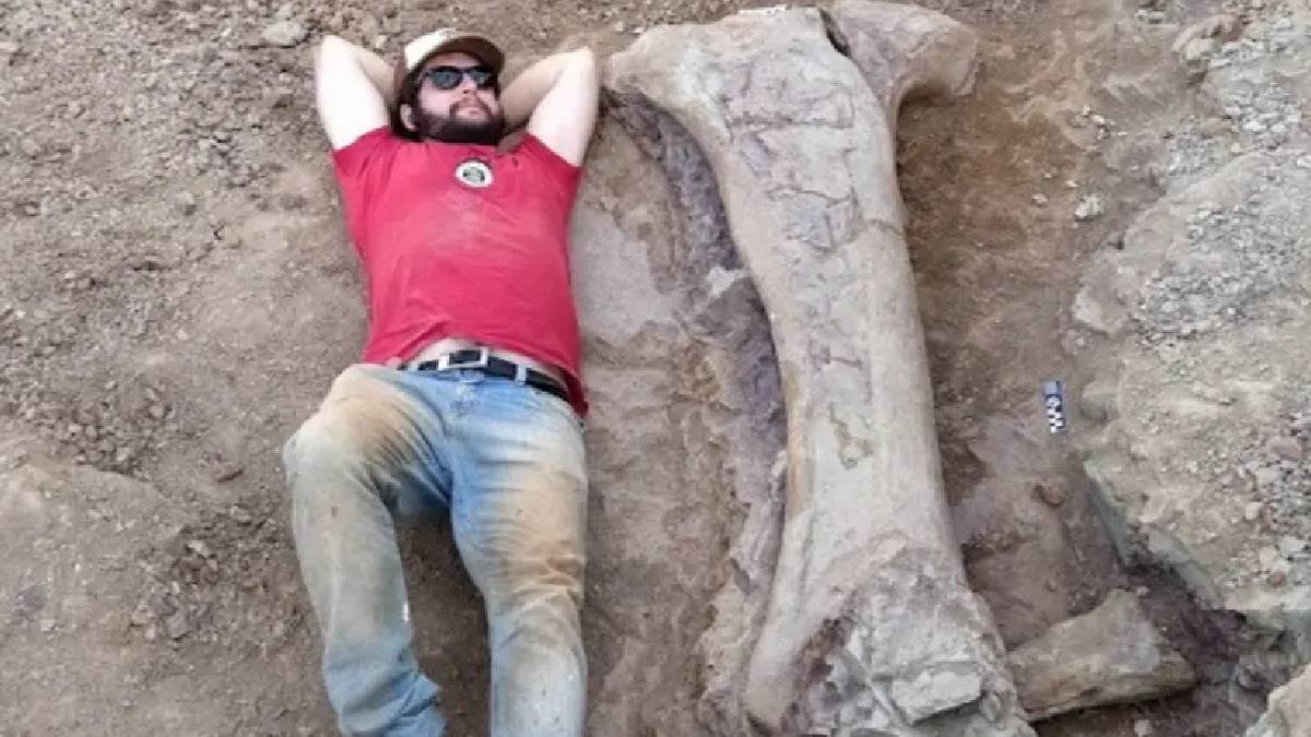 Brezilya’da dev dinozor türü keşfedildi: Kemik insan boyunda