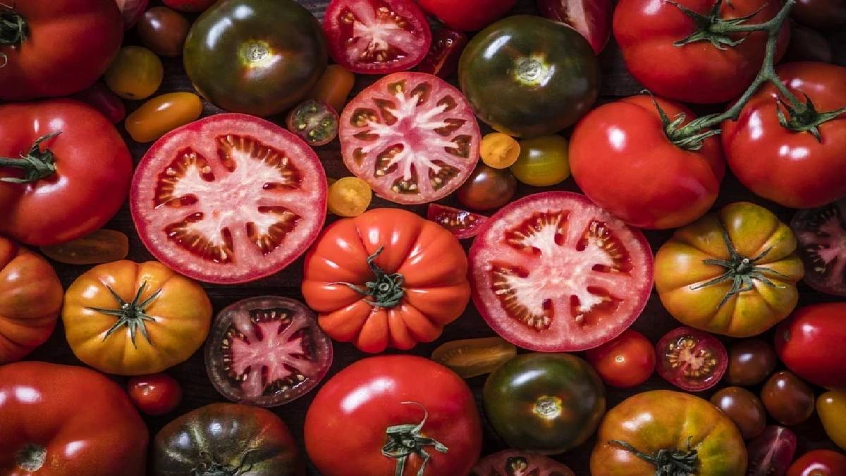 En iyi domates nasıl seçilir? Rengi sakın sizi aldatmasın: Domates seçmenin püf noktaları…