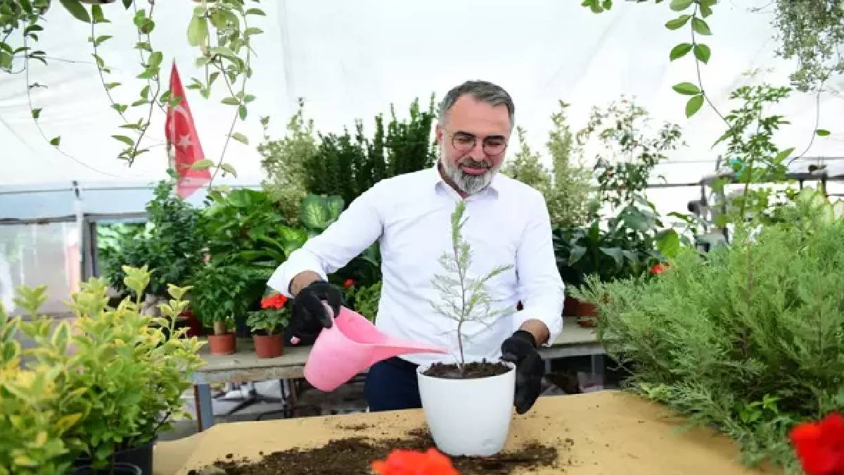 Süs bitkileri dünyaya açılıyor! Kestel Belediyesi üretime destek veriyor