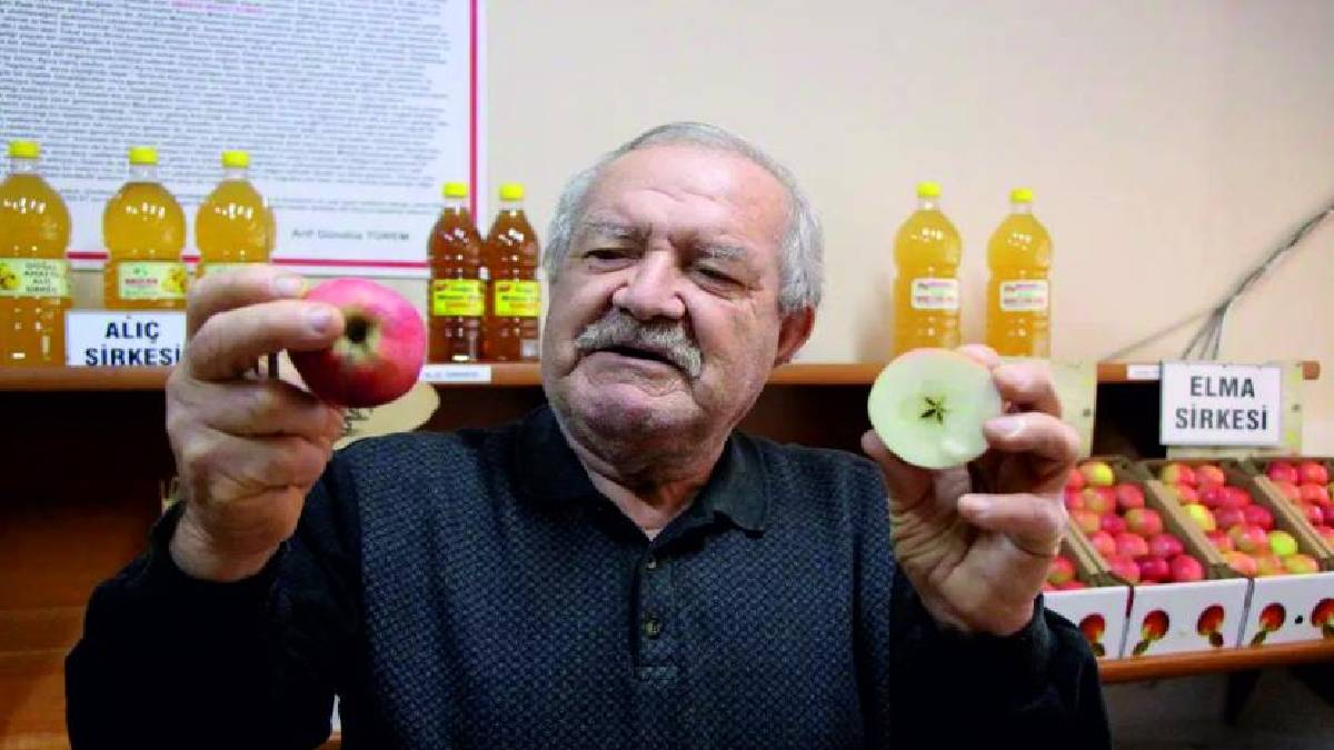 2 bin yıldır yetişiyor, kilosu 150 TL’ye satılıyor! Orjinalini yıldıza bakarak anlayabilirsiniz