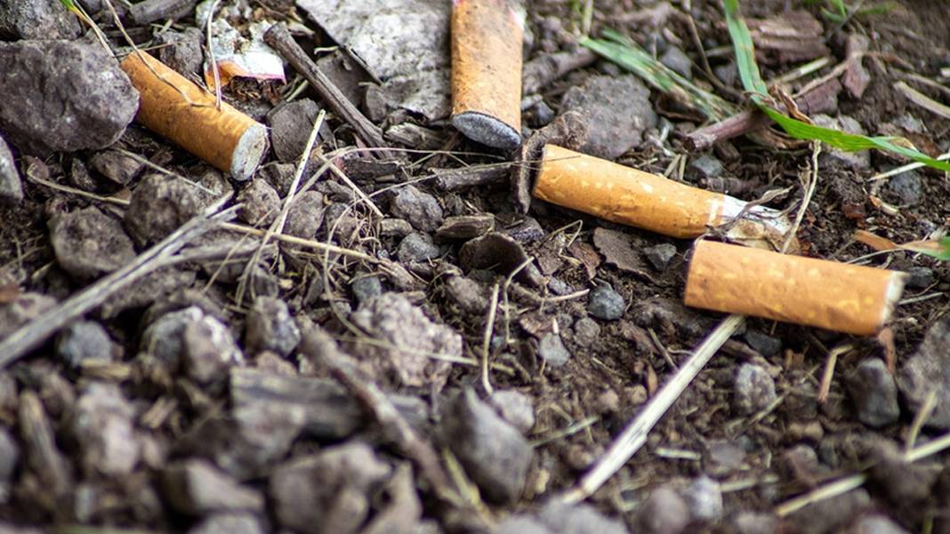 Cinayetin sırrını sigara çözdü: DNA profili yalanı çürüttü