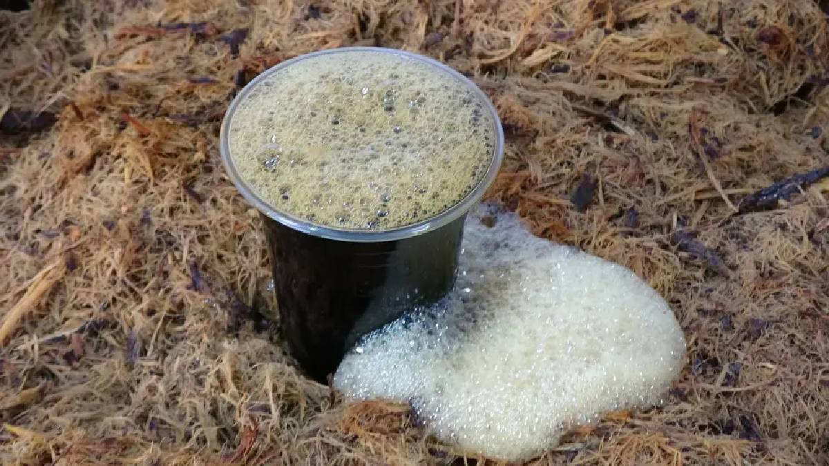 Yazın çok seviliyordu Ramazan’da da talep arttı: Üreticilerin ek mesaisi başladı