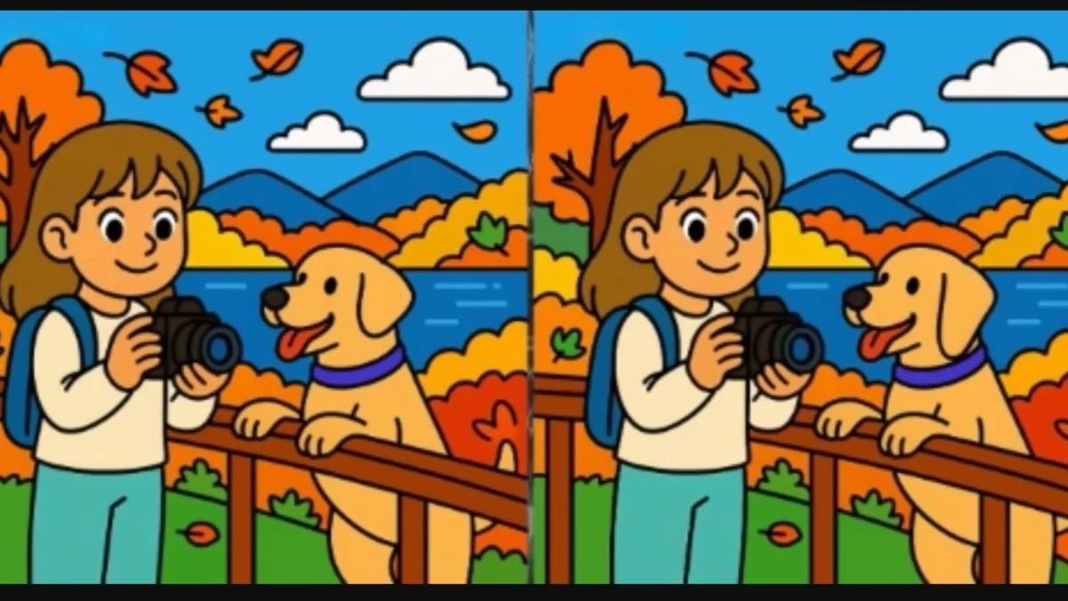 IQ'su 120 ve üzeri olanlar anında fark ediyor! İki resim arasındaki 3 gizli farkı bulabilecek misin?"