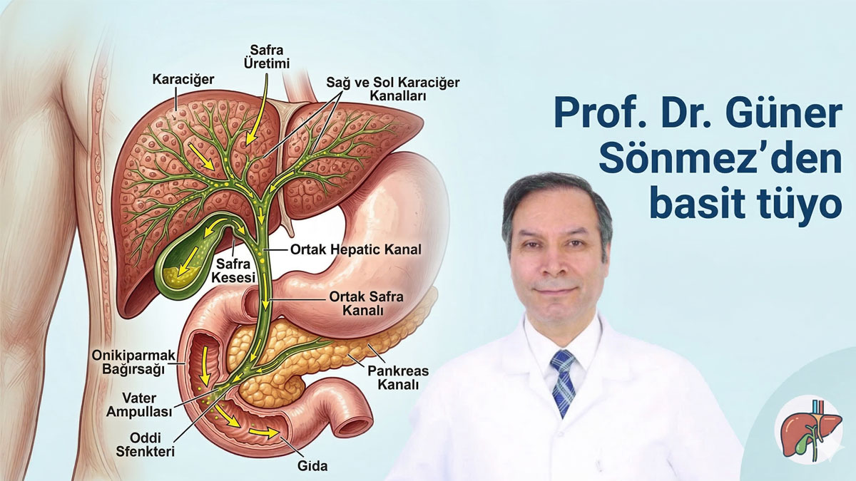 Prof. Dr. Güner Sönmez'den basit tüyo: Safra sağlığınızı düzeltmek sindiriminizi ve hormonlarınızı kökten değiştirecek