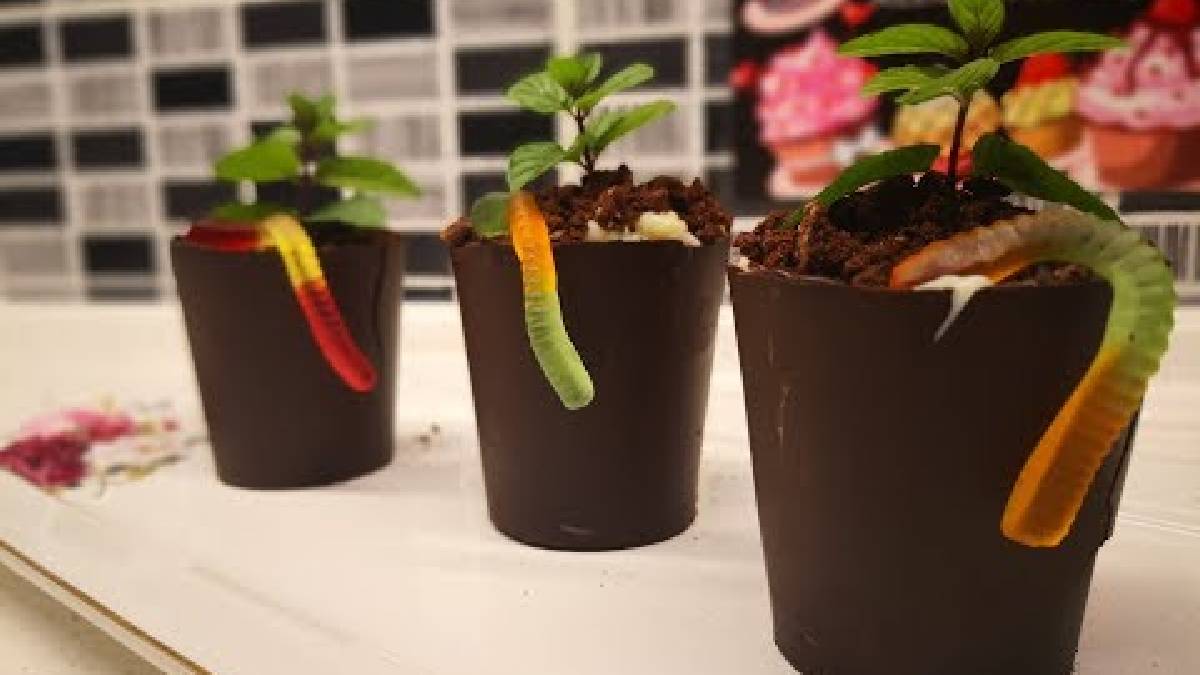 Gören herkes saksı zannediyor! Lezzeti hayran bırakıyor: Orijinal saksı tatlısı tarifi…