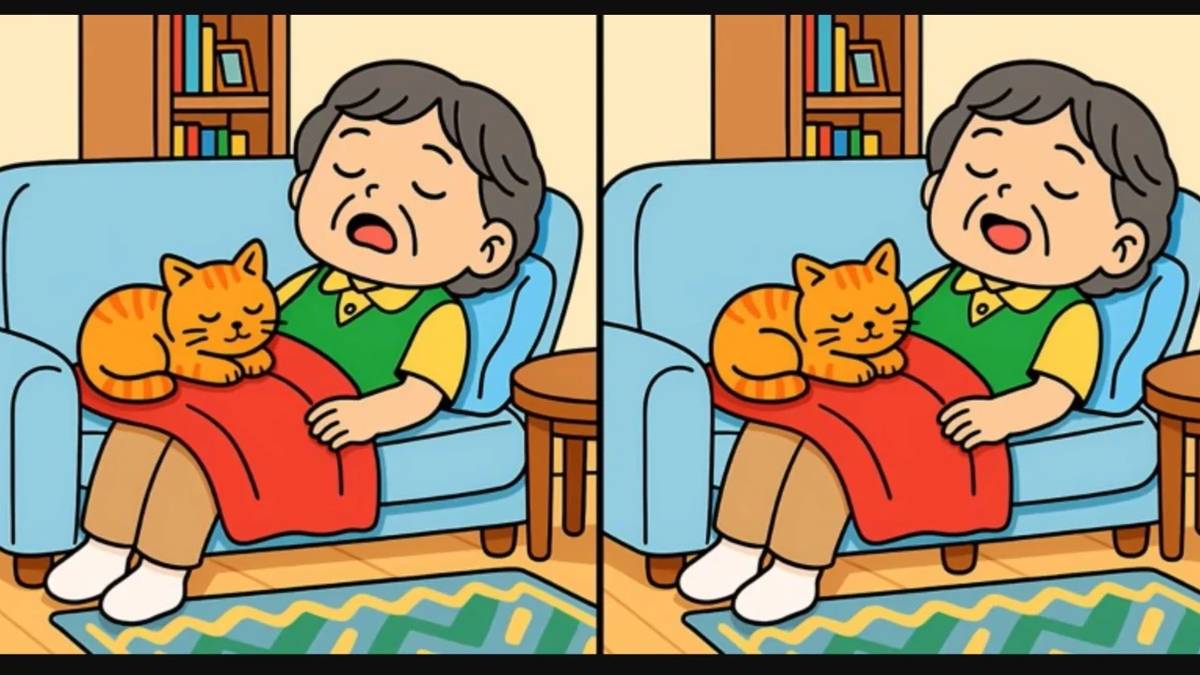 Sadece dikkati en keskin olanlar seçebiliyor! 12 saniyede 3 farkı bulan dahi sayılıyor