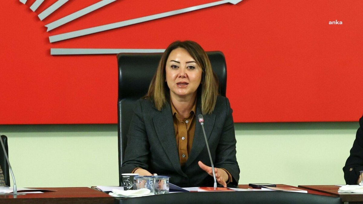 CHP'li Gül Çiftci: Adalet Bakanı'nın açıklamaları, mahkeme heyetlerine yön tayin etmektir