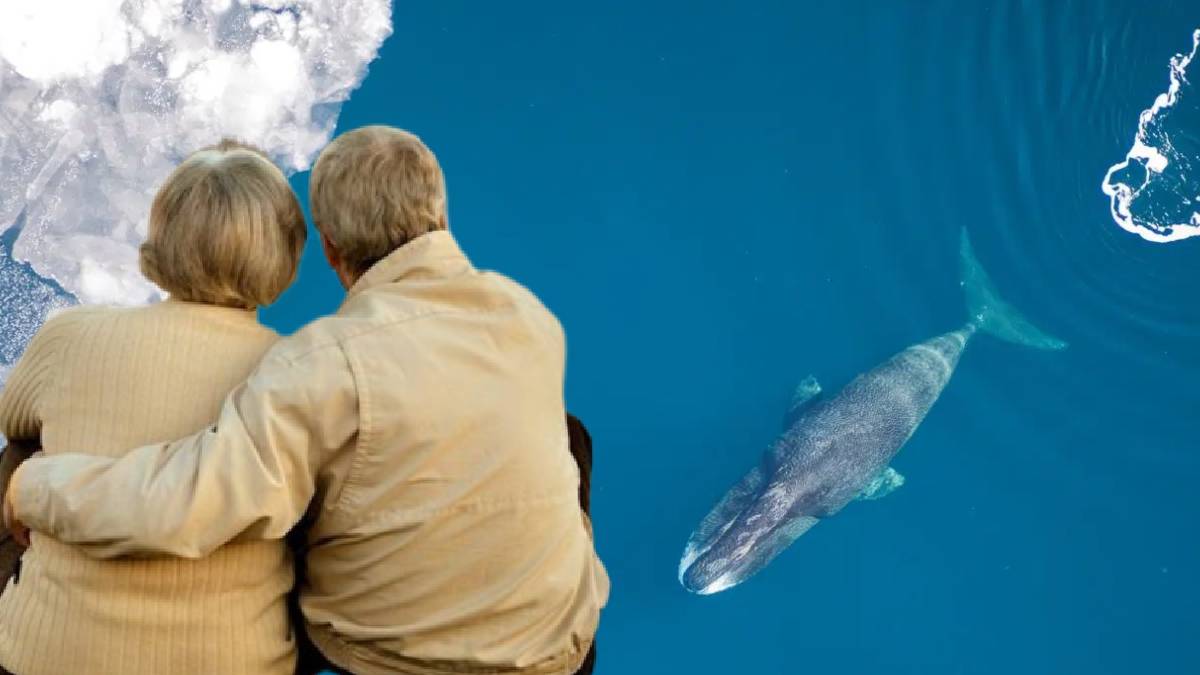 Uzun yaşamın anahtarı okyanusta: İnsan ömrü 200 yıla uzayabilir