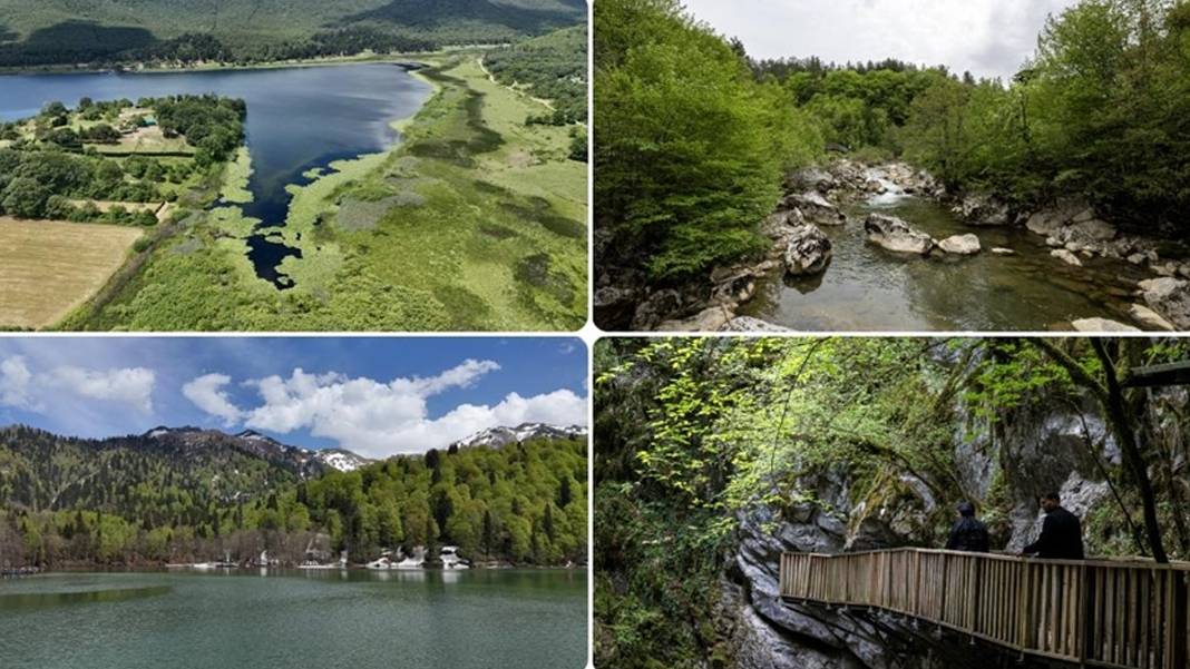 Milli parklarda yeni dönem: Doğayı tahrip edene hapis cezası