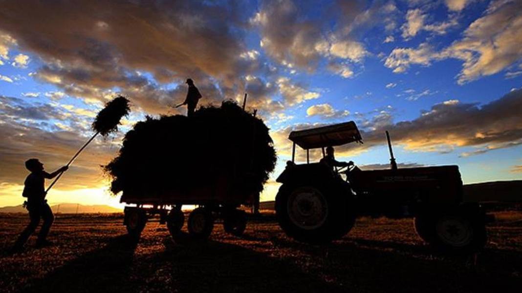 Tarlada şalter indi, ürün kurudu: 75 bin çiftçinin elektriği kesildi