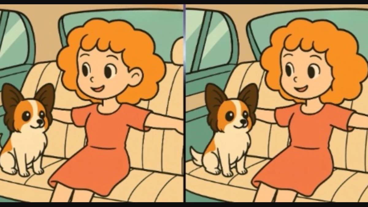 Yüksek IQ’lu kişiler bile zorlanıyor: 14 saniyede 3 farkı bulabilecek misiniz?