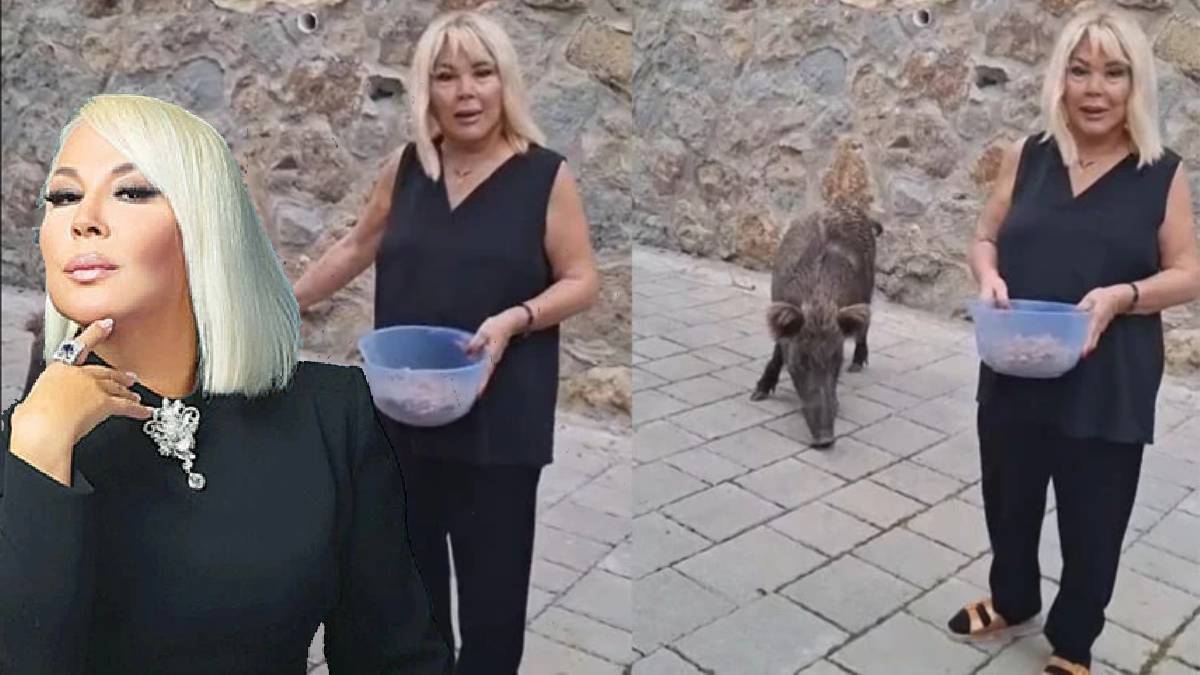 Safiye Soyman ne kedi besledi ne de köpek! Kapısına gelen domuzu elleriyle besledi