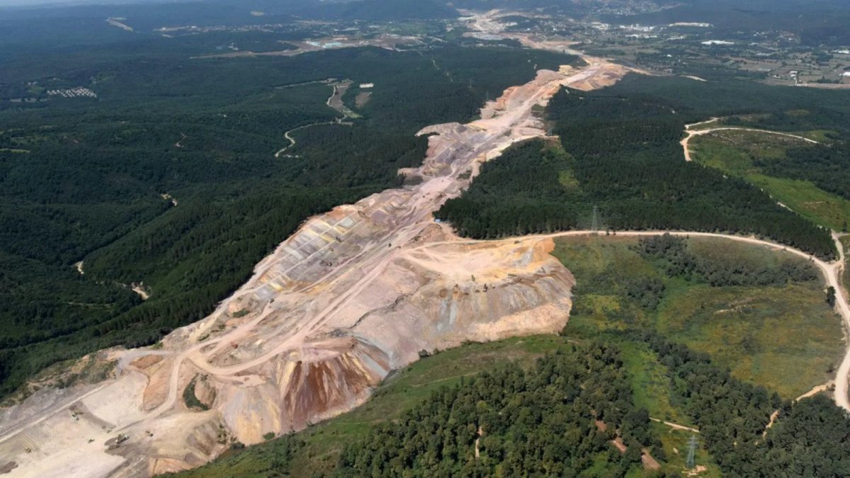 İstanbul'un nefesinde "RES" tehdidi: Kuzey Ormanları'nda on binlerce ağaç kesilecek