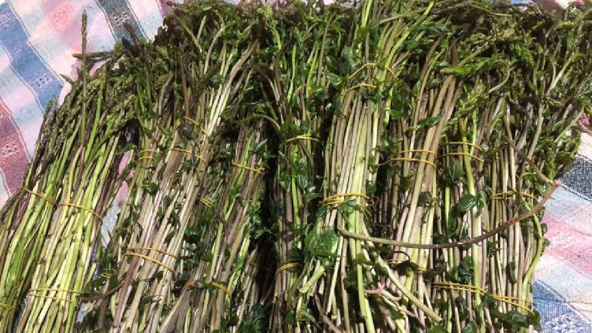 Doğadan topluyor, pazarda satıyorlar: Yaban otları paraya dönüşüyor