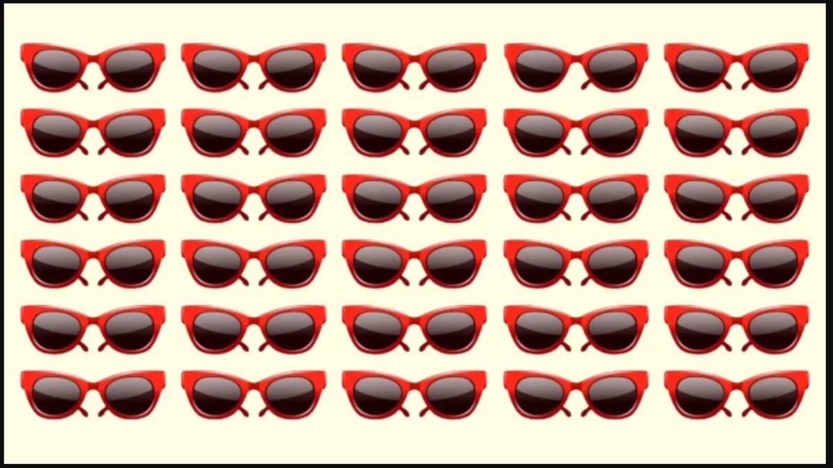 Dikkatinizi test edin: Sadece yüksek IQ’lular farklı güneş gözlüğünü 6 saniyede seçebiliyor!