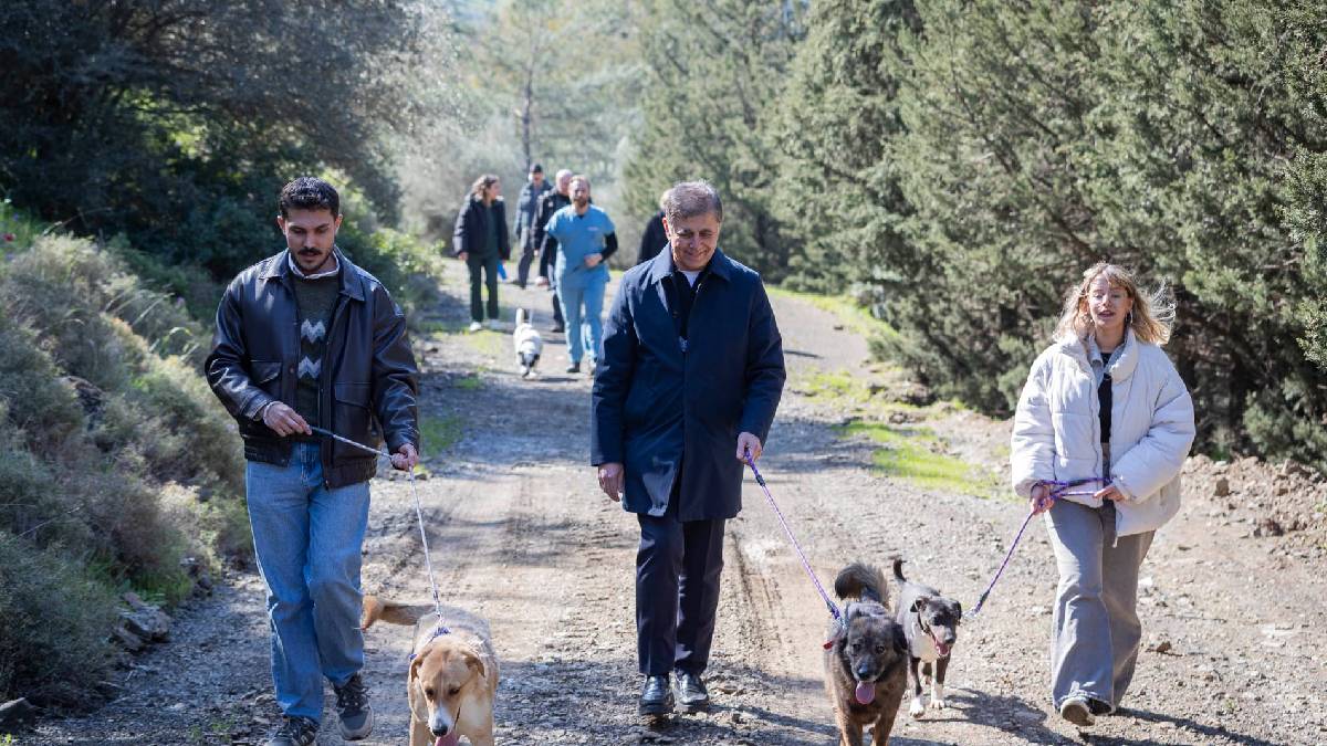 On binlerce cana dokunan seferberlik: Hem hayvan refahı artırıldı hem de toplum sağlığı güçlendirildi