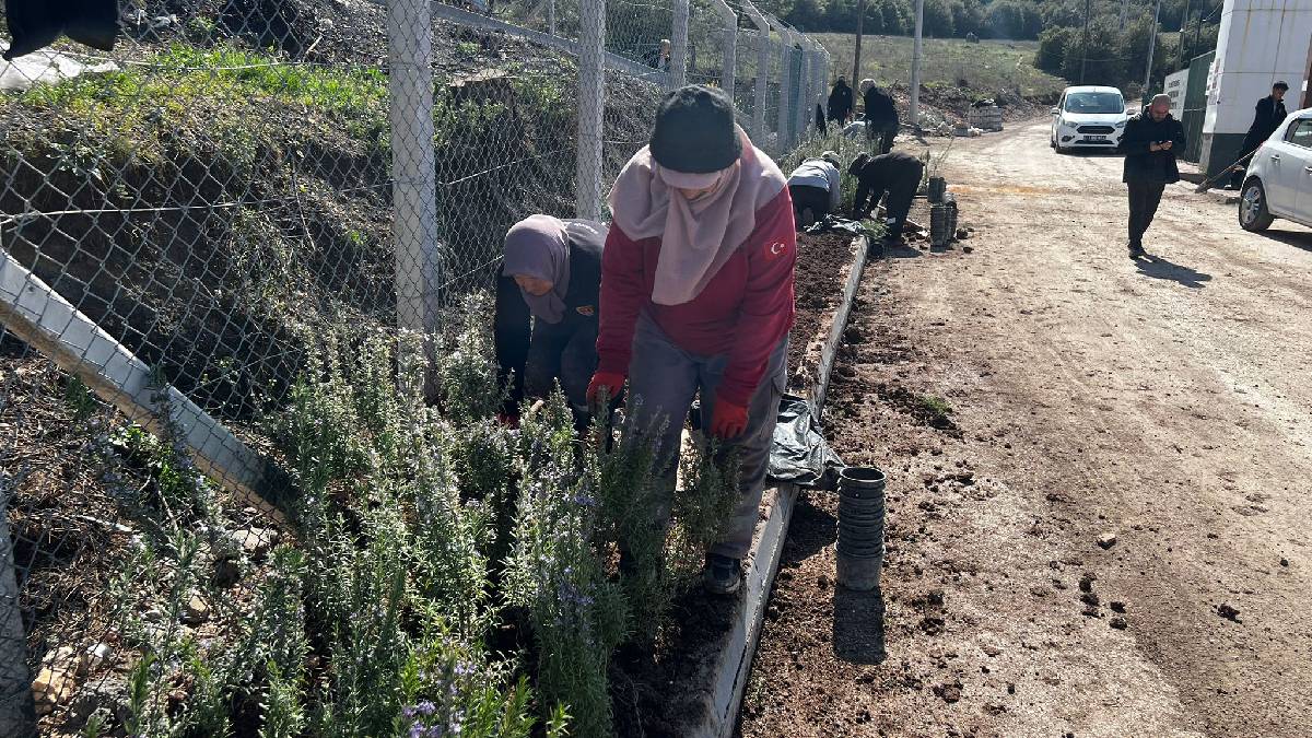 Park ve Bahçeler Müdürlüğünden bahara hazırlık çalışmaları