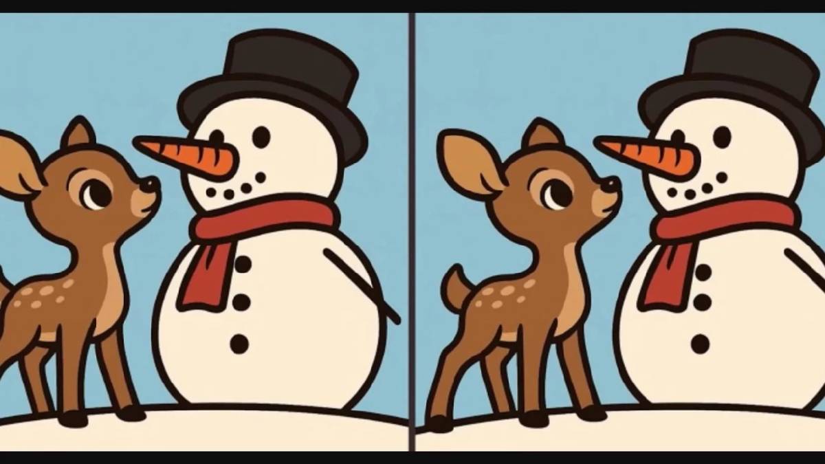 IQ seviyenizi ölçün: 14 saniyede 3 farkı bulabilecek kadar dikkatli misiniz?