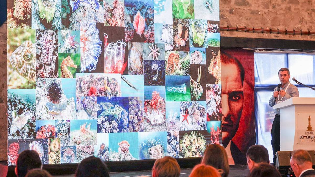 İzmir Körfezi'ne bilimsel bakış