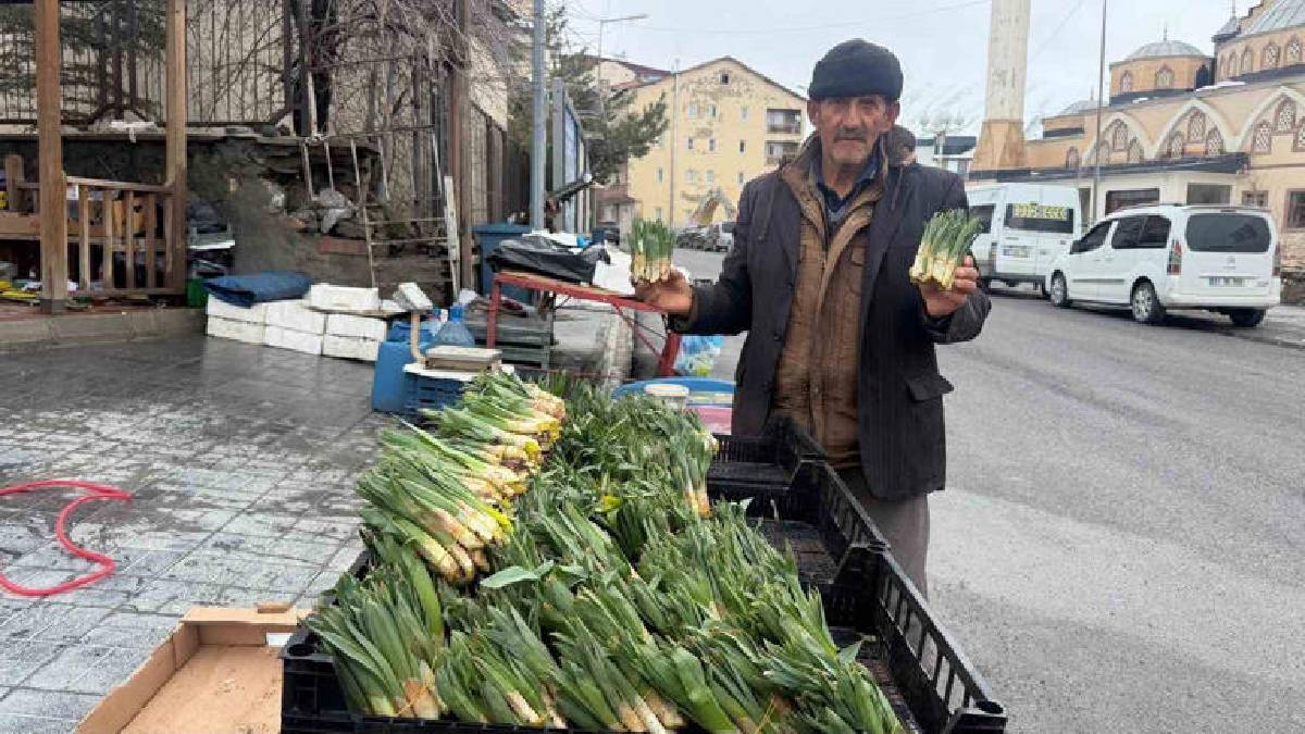 Doğallığı ve şifasıyla talep görüyor: Baharın müjdecisi tezgaha çıktı