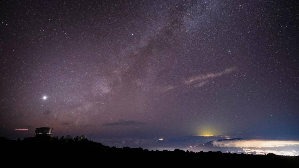 Uzayda üreme: Sıfır yerçekiminde döllenme süreci incelendi