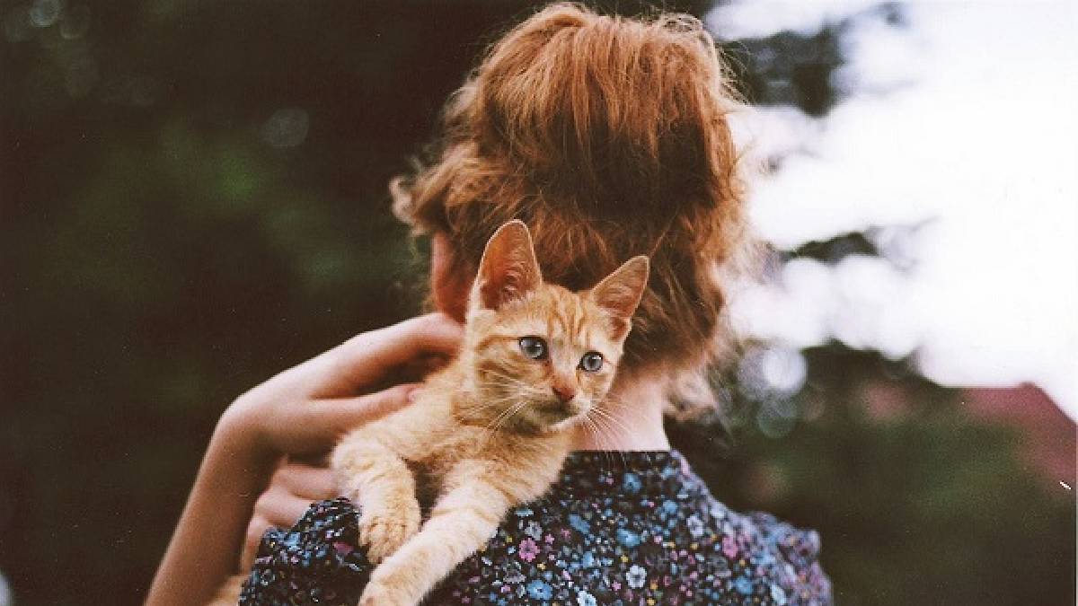 Araştırma: Kediler kadınlarla samimi, erkekleri miyavlamayla yönetiyor