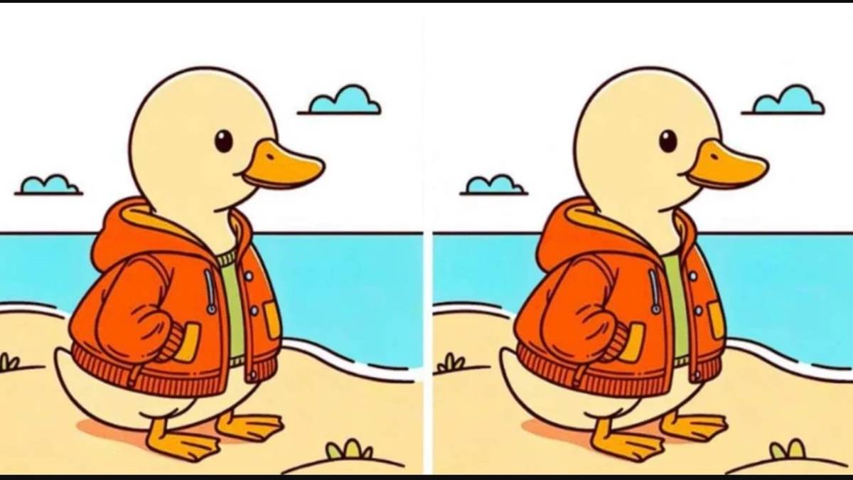 Dahiler için 14 saniye süresi: Bu görseldeki 3 farkı kimler görebiliyor?