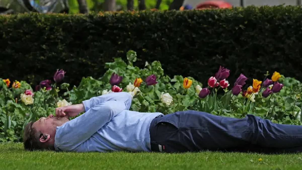 Araştırma: Bahar yorgunluğu bir efsane mi?