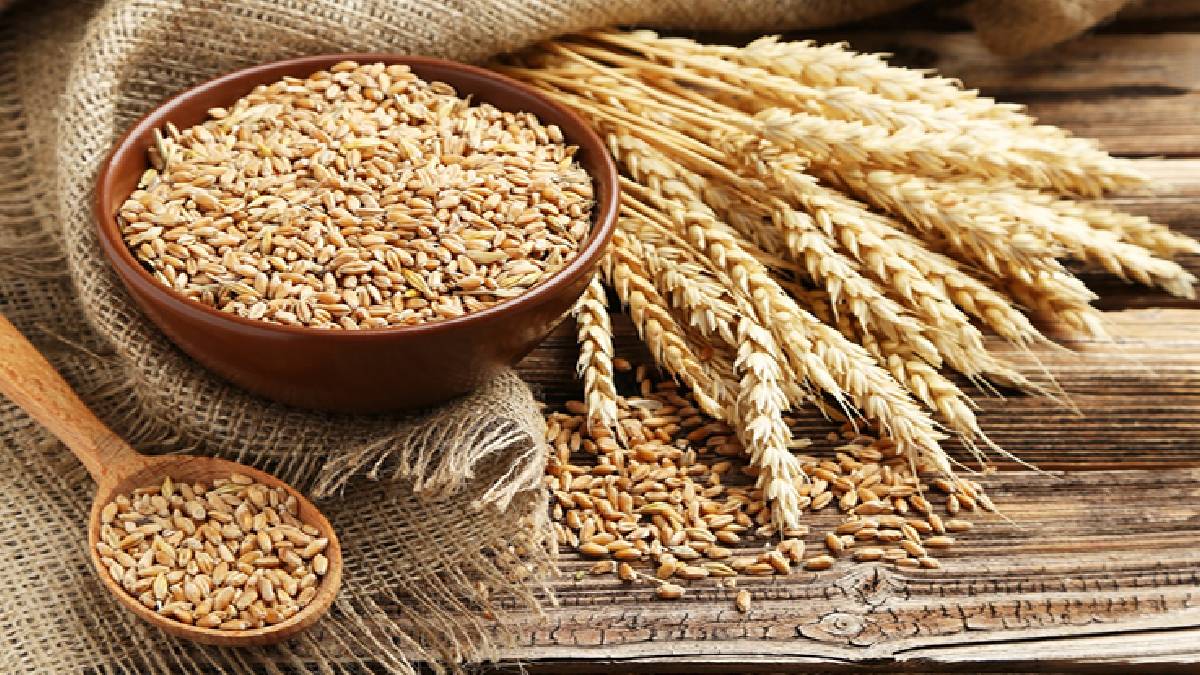 Buğday piyasasında dalgalanma: Savaş ve kuraklık fiyatları artırıyor