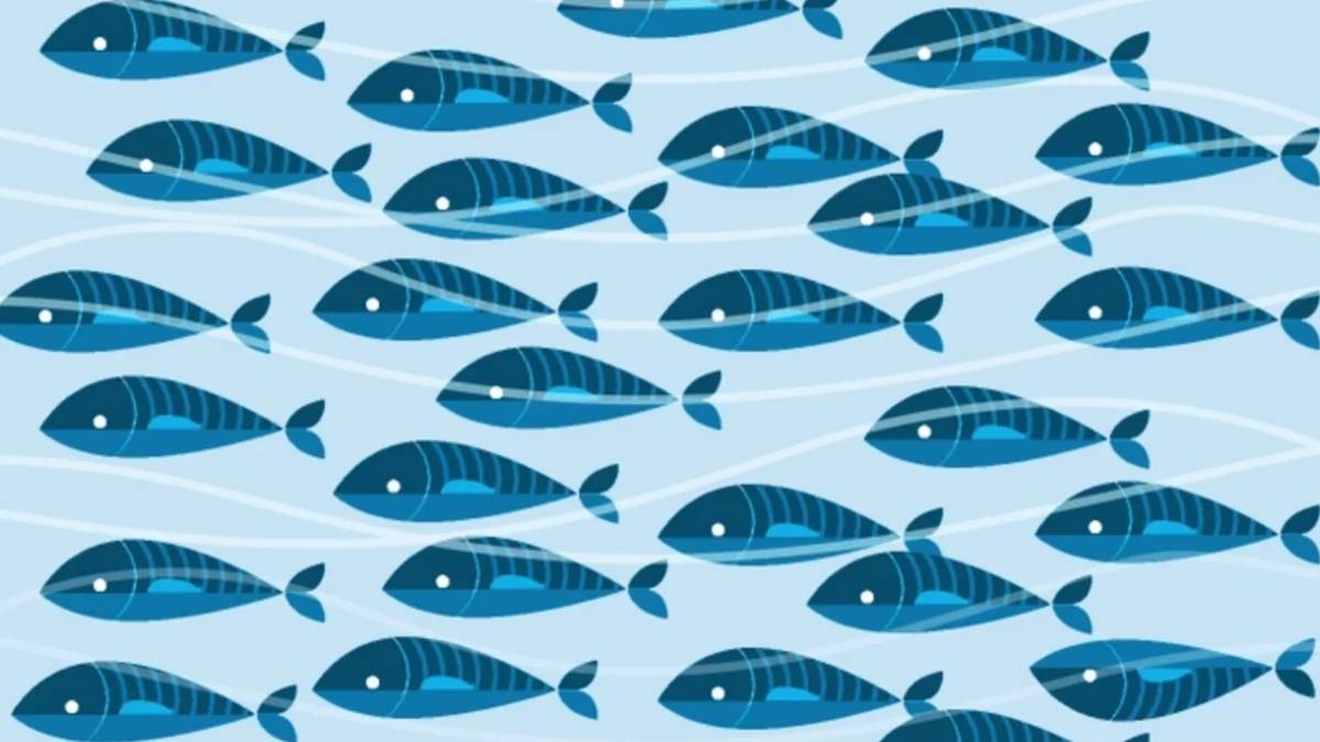 Görsel zekanıza ne kadar güveniyorsunuz? Sadece dikkati en keskin olanlar bu farkı 6 saniyede görüyor!