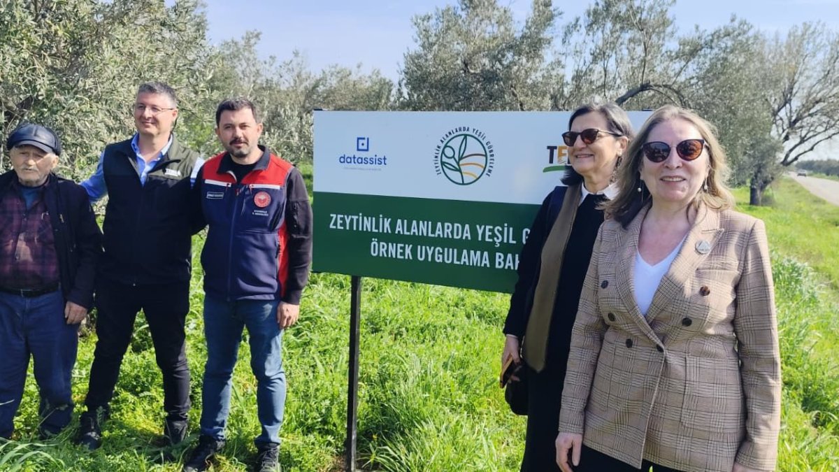 Çanakkale'de kuraklığa karşı 'yeşil' ittifak: Zeytinlikleri kurtaracak 'sünger' formülü görücüye çıktı