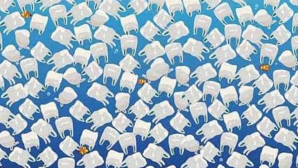 Kartal gözlerinizi kanıtlayın! Poşetlerin arasındaki gizli deniz anasını 5 saniyede bulabilecek misiniz?