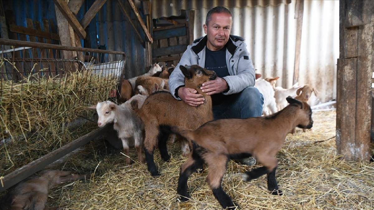 Hobi diyerek başladı gelir kapısına dönüştü! 5 taneyle başladığı yola 80 taneyle devam ediyor