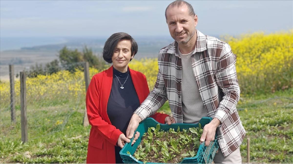 2 buçuk yıl önce başladı, yurt dışına açılmak istiyor! Beyaz altında 600 soğan toprakla  buluştu