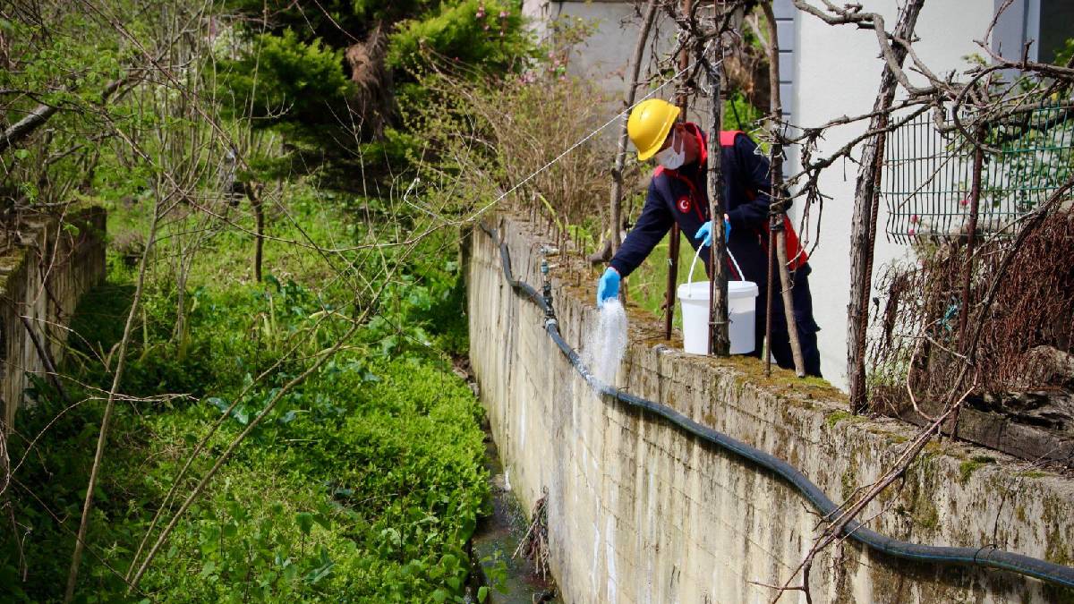 Giresun Belediyesinden ilaçlama seferberliği
