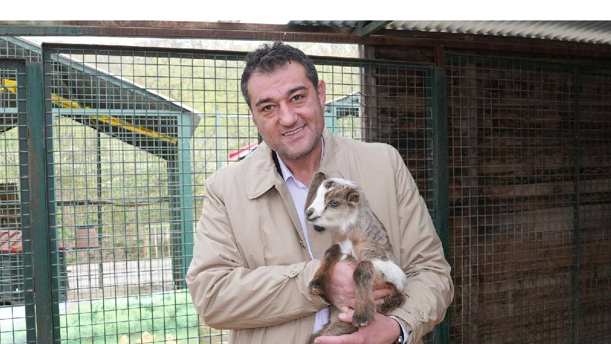 Başkan Köse 4 Nisan Dünya Sokak Hayvanları Gününü kutladı