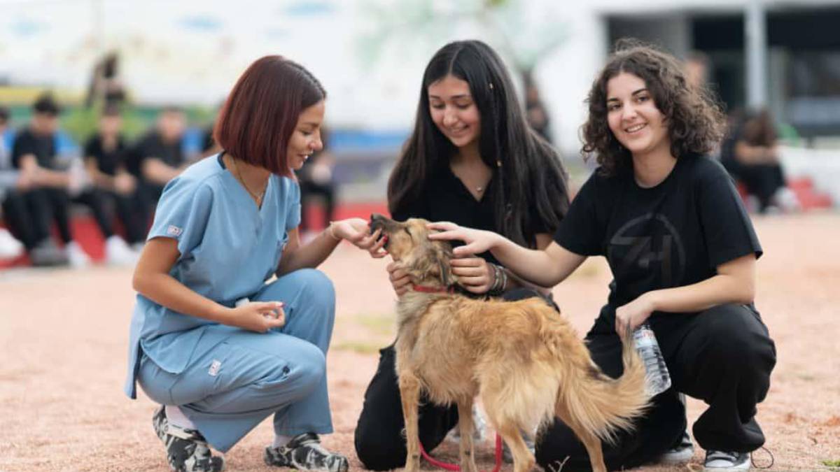 Barınaklardan 3 binin üzerinde hayvan sahiplendirildi