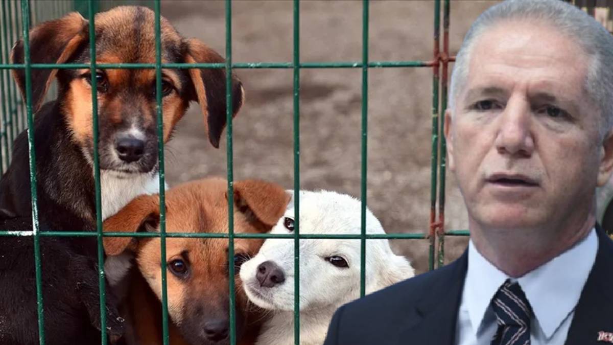 İstanbul Valisi Gül'den belediyelere talimat: "Mayıs sonuna kadar toplayın yoksa savcılığa veririm"