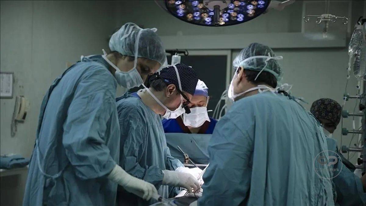 Karaciğer yetmezliğine yeni çözüm: Enjekte edilebilir uydu organ