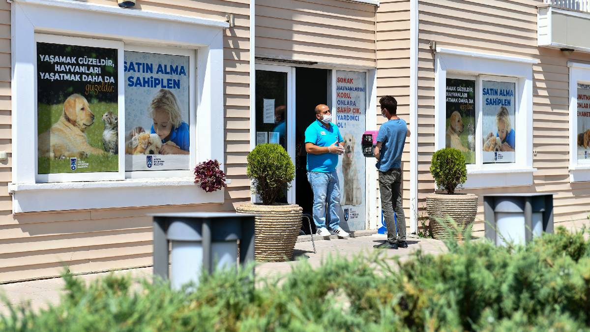 Ankara Büyükşehir'den 8 milyonun üzerinde sokak hayvanına veterinerlik hizmeti