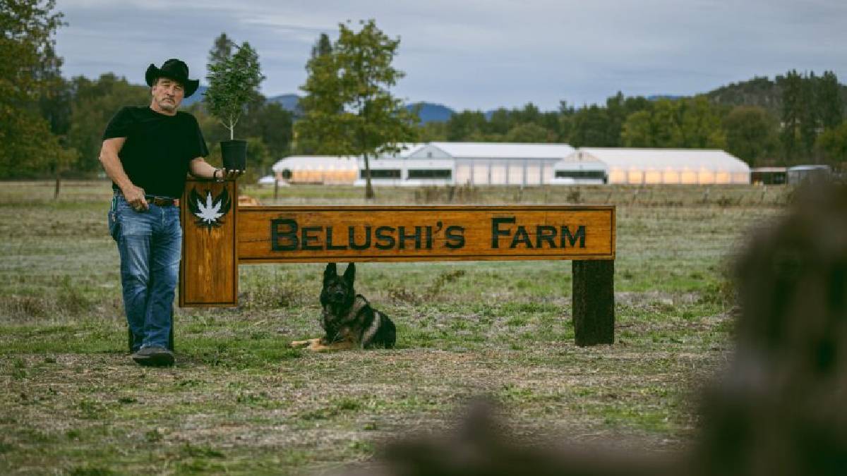 Ünlü oyuncu hayatına renk kattı!50 büyükbaş hayvanıyla huzuru yakaladı