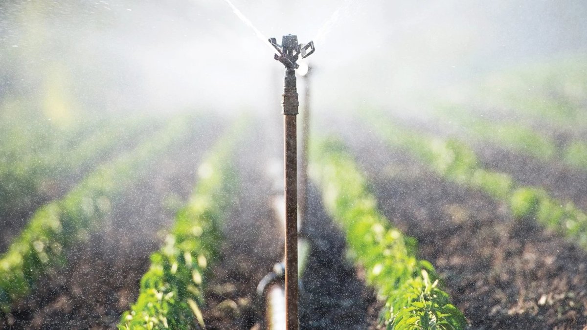 Tarlada 'şalter' çıkmazı: Yüzde 25'lik elektrik zammı çiftçiyi daha tohum ekmeden vurdu