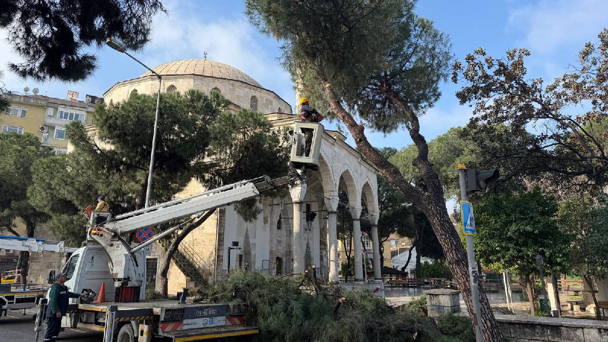 Büyükşehirden Aydın’ın yeşil dokusunu geleceğe taşıyan çalışma