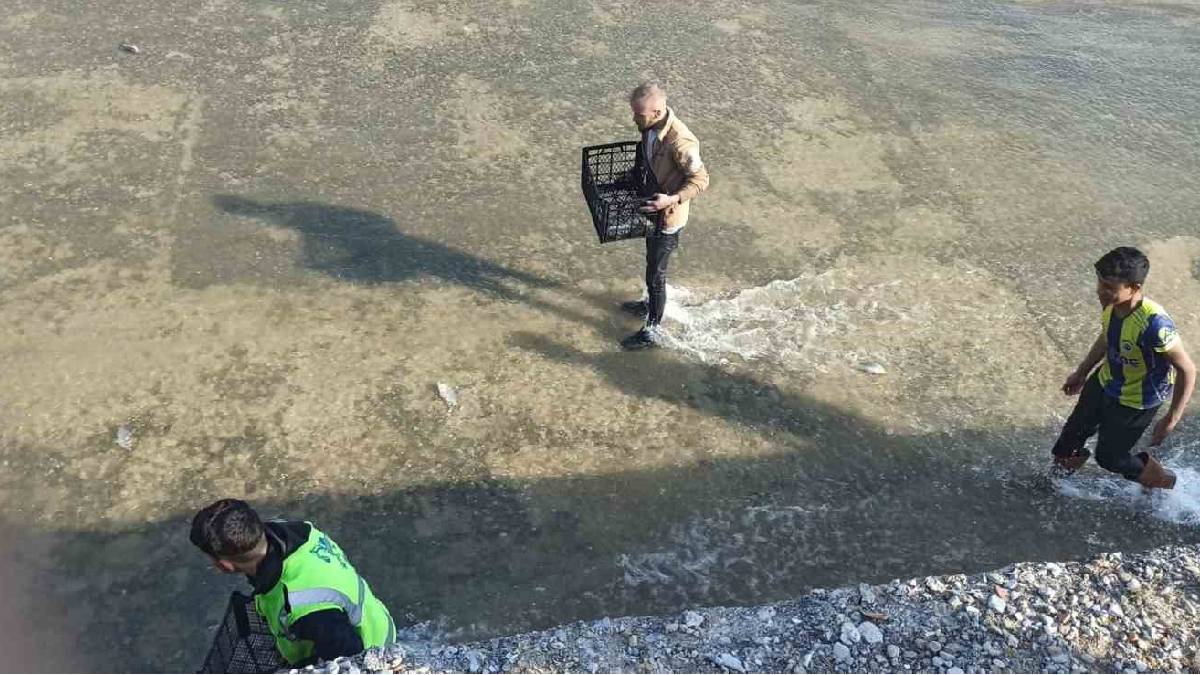 Kimi poşetle kimi kasa ve kovalarla akın etti: Balık yakalamak için verdikleri uğraş şaşırttı